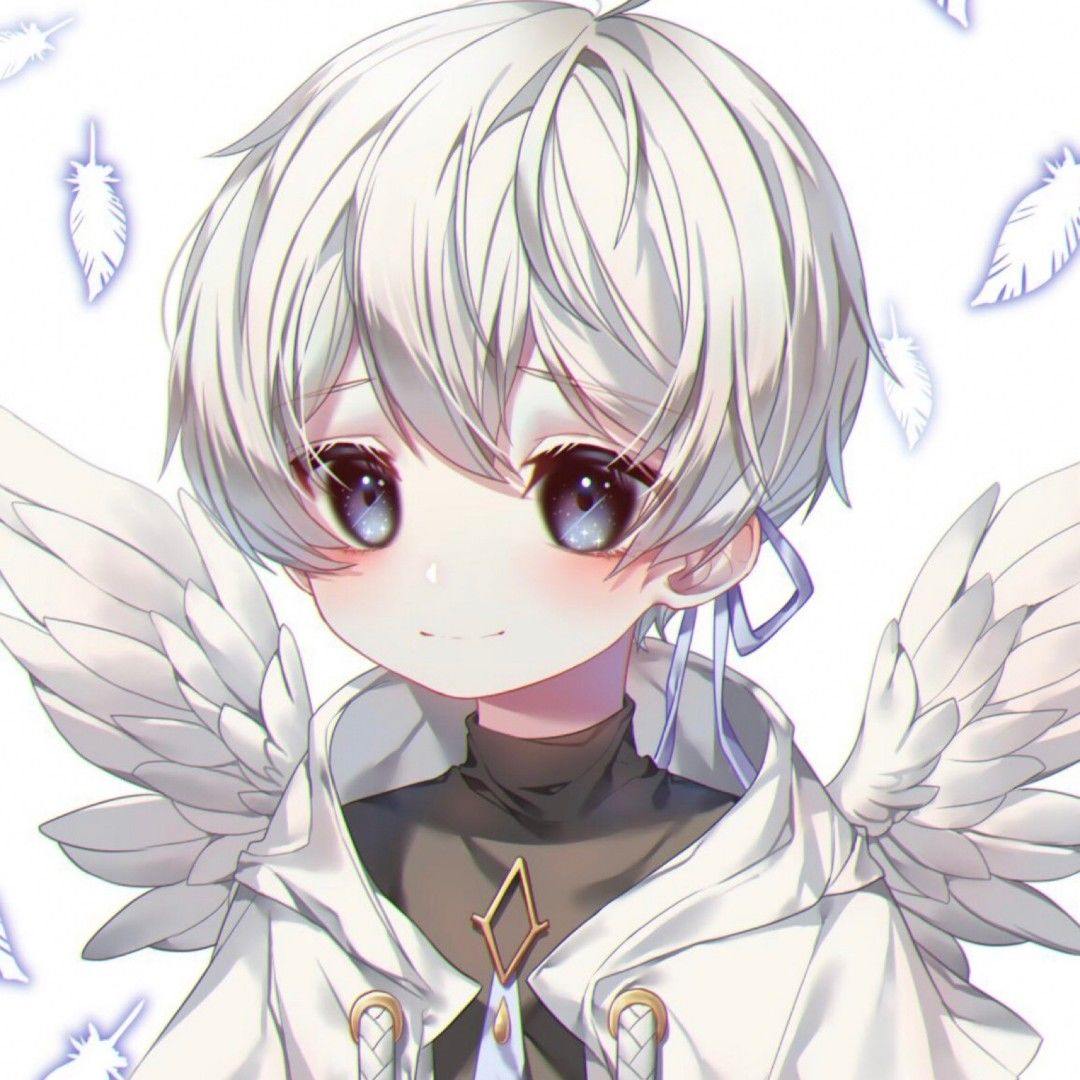 热播